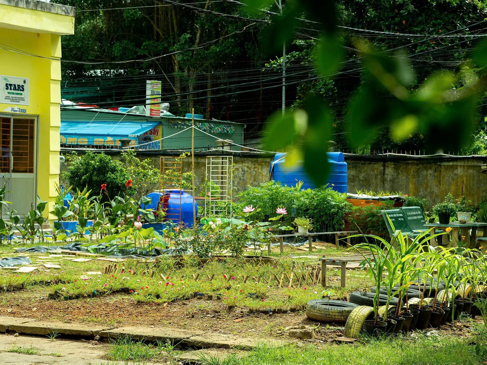 Image of Eco-Park Wetlands and constructed wetland solutions